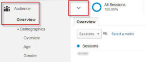 google-analytics-tips-custom-segment