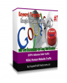 Organic Keyword Traffic – BUSINESS Package
